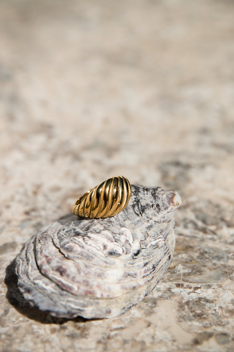 Scusi Ring