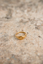 Lux Signet Ring